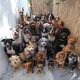 Illustration for article titled Yes, this photo is the best